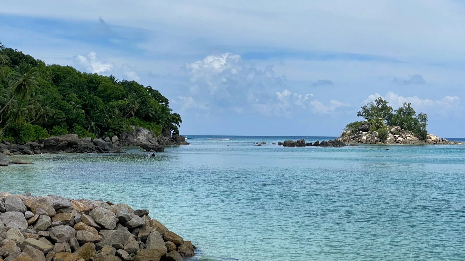 L'Île Souris : le secret snorkeling d'Anse Royale