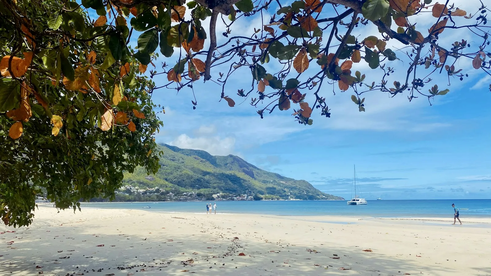 Zone aéroport, Victoria ou Beau Vallon : que choisir pour la dernière nuit ?